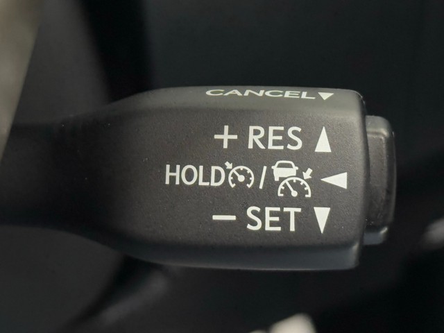 レクサス RX300 Fスポーツ