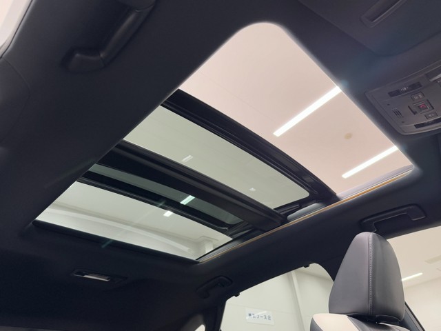 レクサス RX300 Fスポーツ