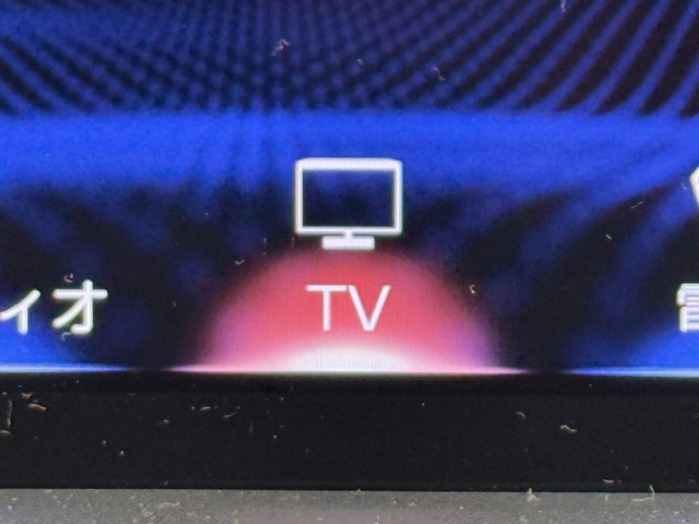 レクサス NX300 Spice&Chic