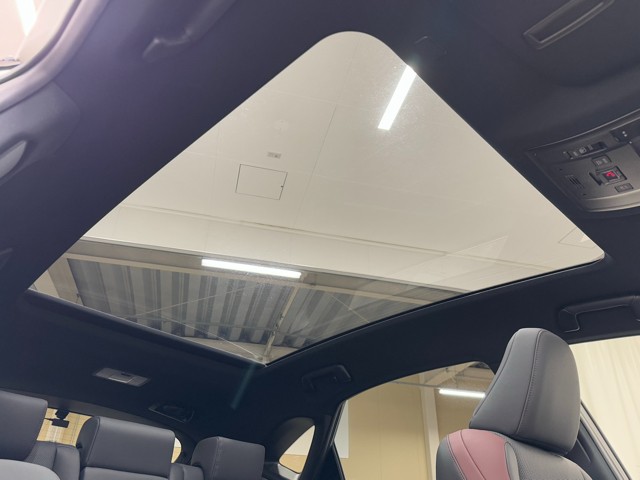 レクサス NX300 Spice&Chic