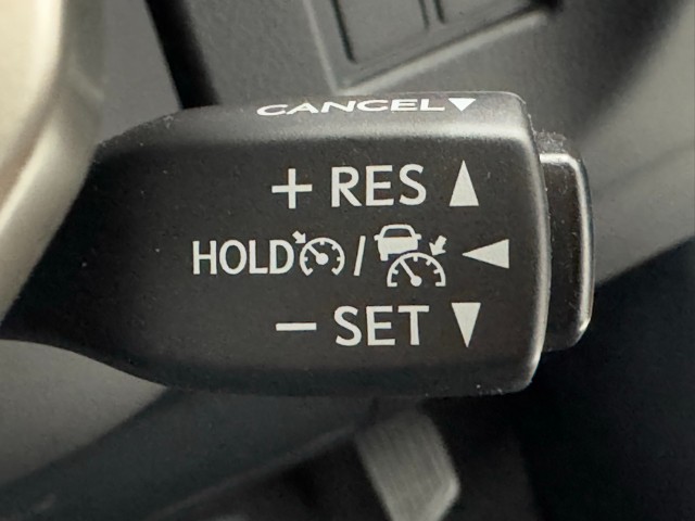 レクサス NX300 Spice&Chic