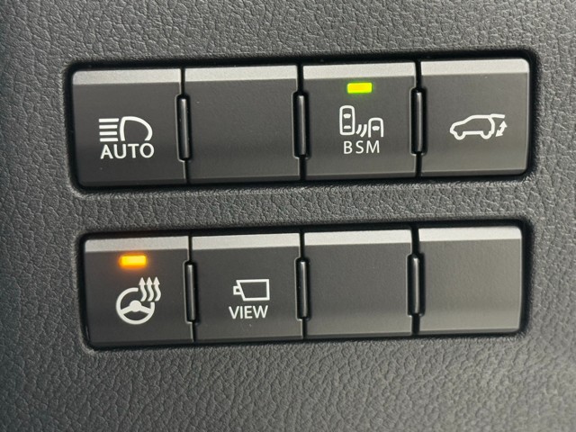 レクサス NX300 Spice&Chic