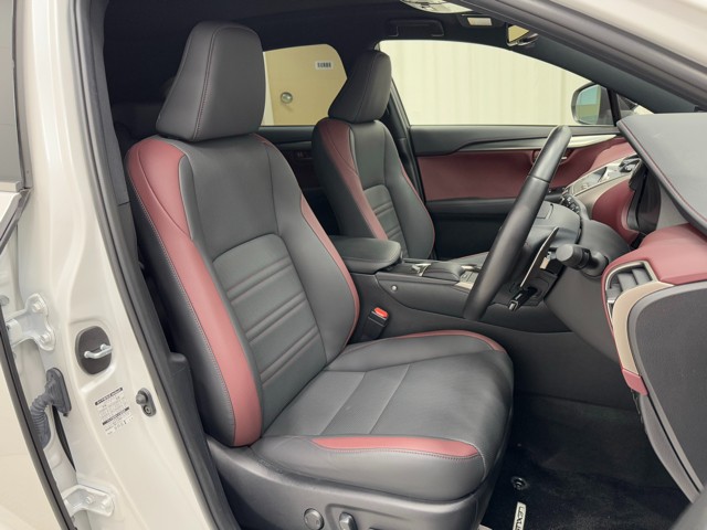 レクサス NX300 Spice&Chic