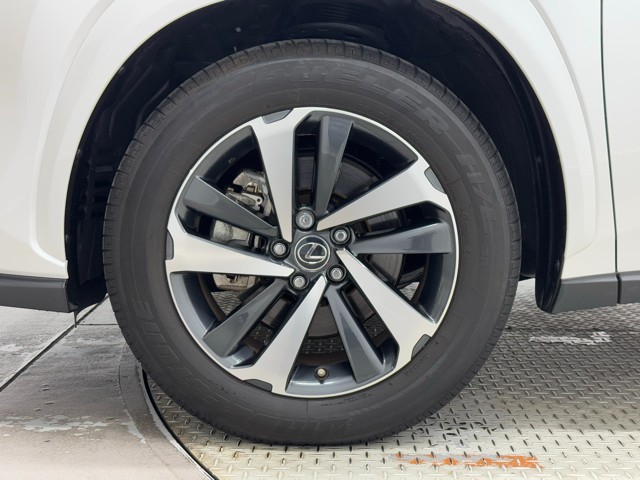 レクサス NX300 Spice&Chic