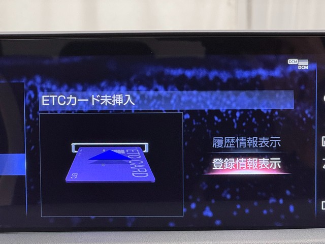 レクサス RX300 F スポーツ