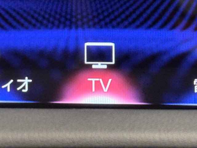 レクサス RX300 F スポーツ