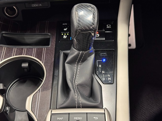 レクサス RX300 F スポーツ