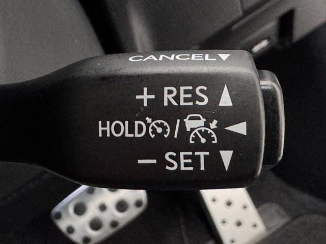 レクサス RX300 F スポーツ