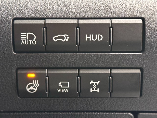 レクサス RX300 F スポーツ