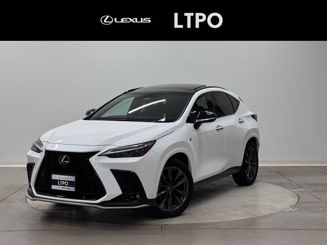 NX350h F SPORT
