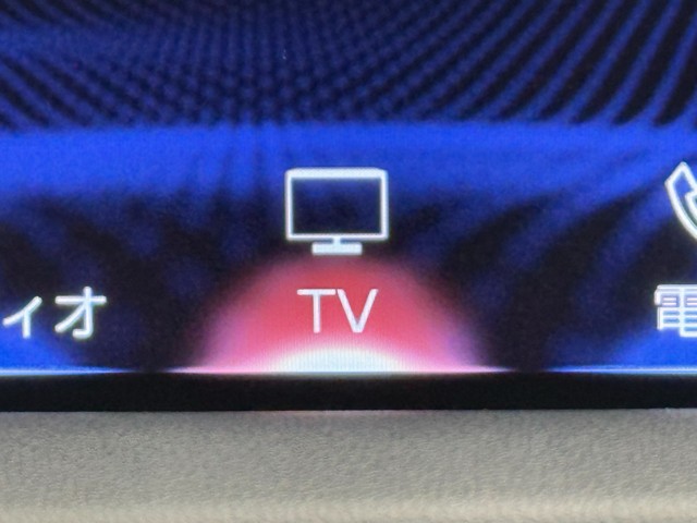 レクサス RX300 Fスポーツ