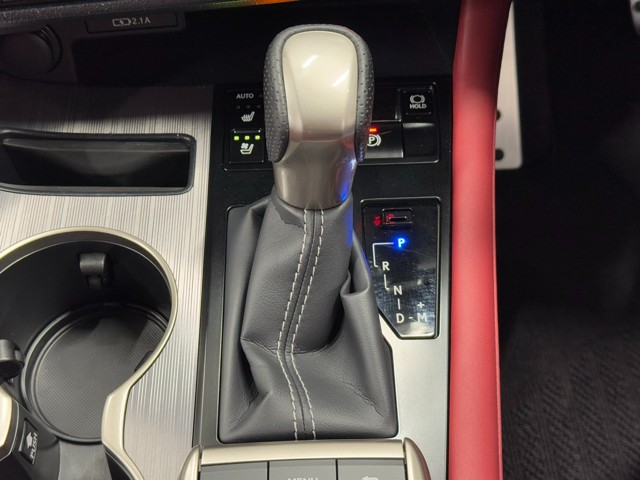 レクサス RX300 Fスポーツ