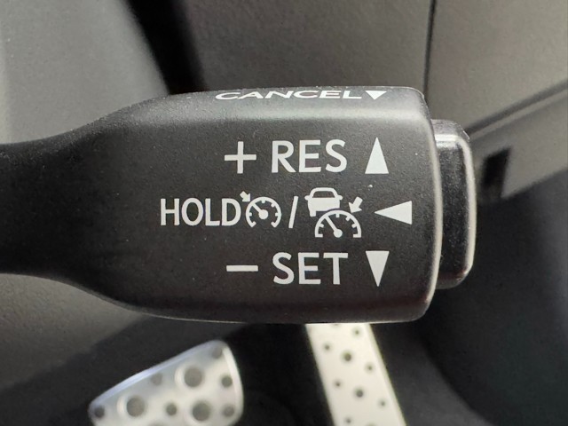 レクサス RX300 Fスポーツ