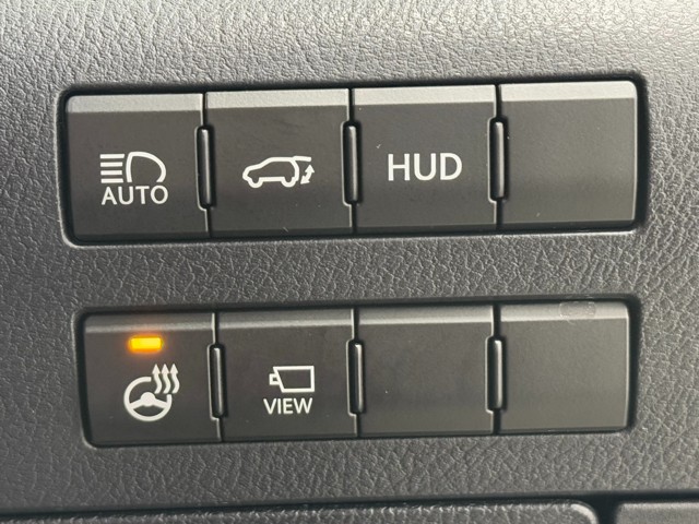 レクサス RX300 Fスポーツ