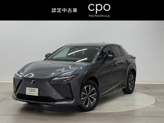 RZ300e バージョンL