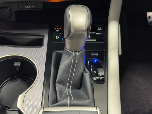 レクサス RX300 F SPORT