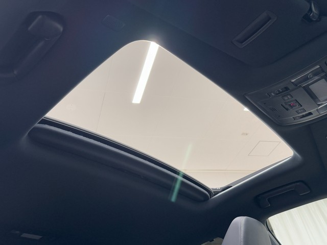 レクサス RX300 F SPORT