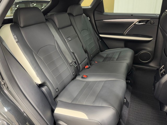 レクサス RX300 F SPORT