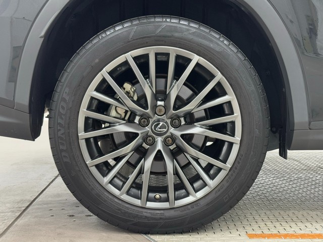 レクサス RX300 F SPORT