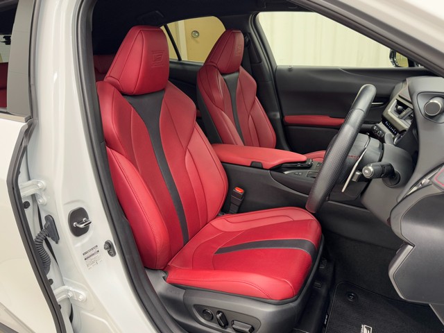 レクサス UX250h F SPORT