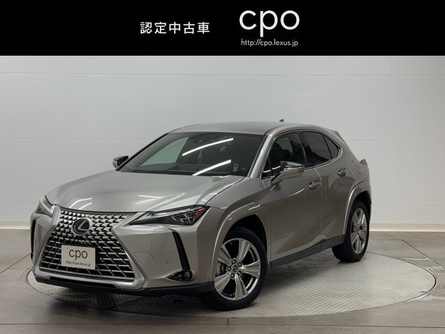 UX250h グレイスフル Exp