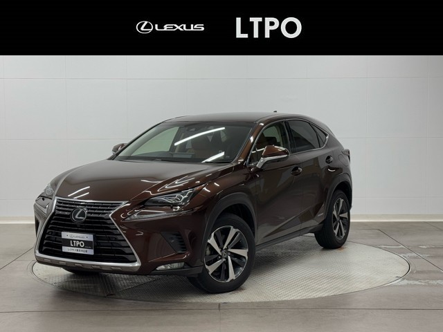 レクサス NX300h IーPKG