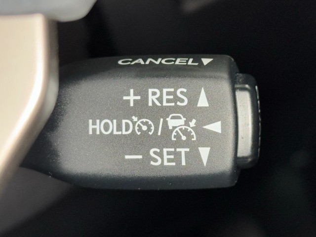 レクサス NX300h IーPKG
