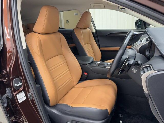 レクサス NX300h IーPKG