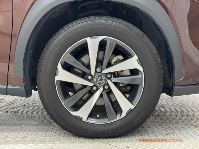 レクサス NX300h IーPKG