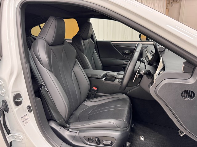レクサス ES300h F SPORT