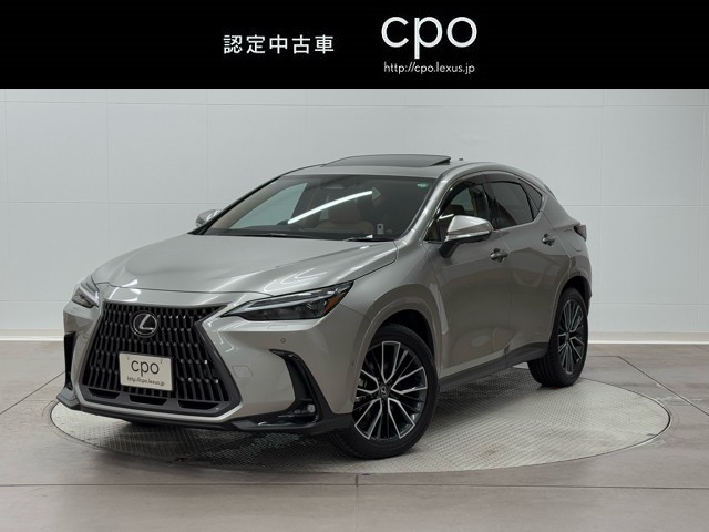 NX350h VER-L