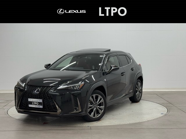 UX250h FSPORT