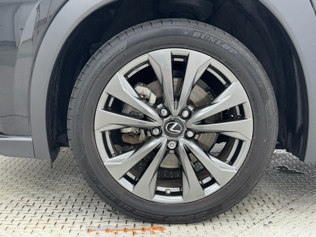 レクサス UX250h FSPORT