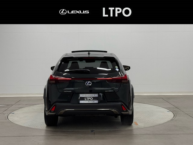 レクサス UX250h FSPORT