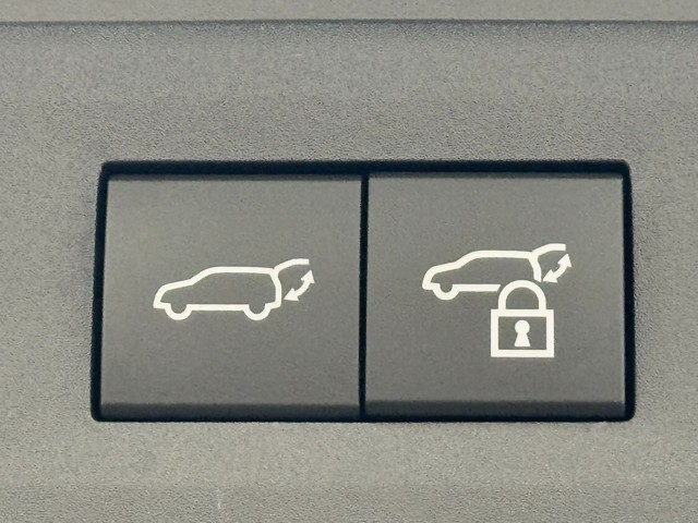 レクサス NX350h VER-L