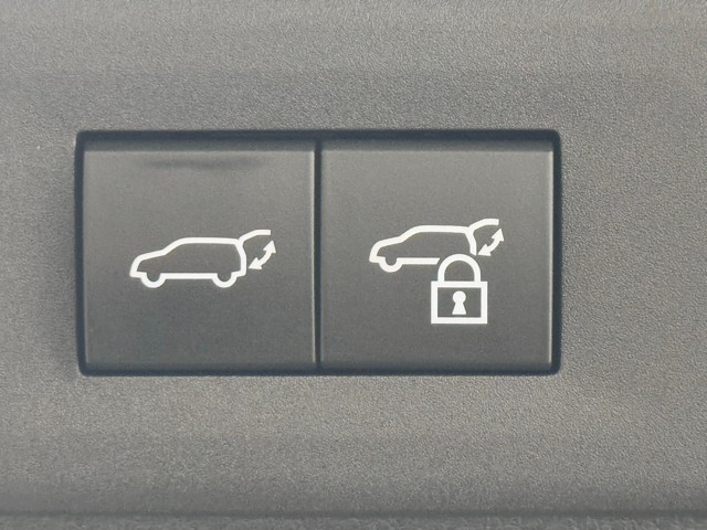 レクサス NX350h F SPORT