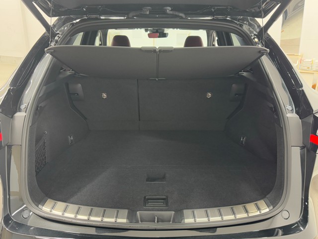 レクサス NX250