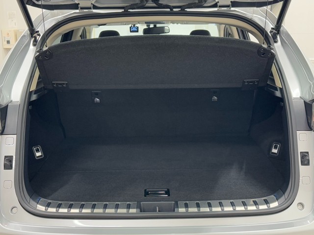 レクサス NX300h Ver-L