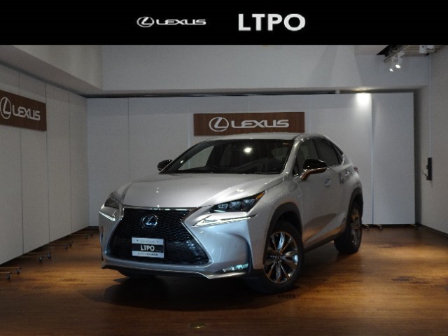 NX300h F SPORT