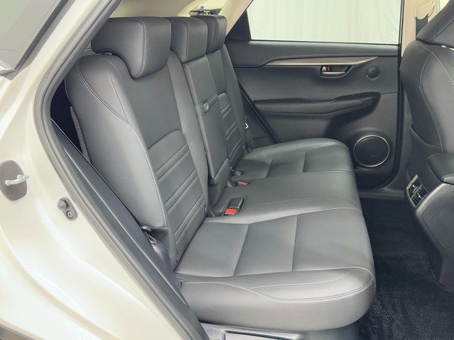 レクサス NX300h I-PKG