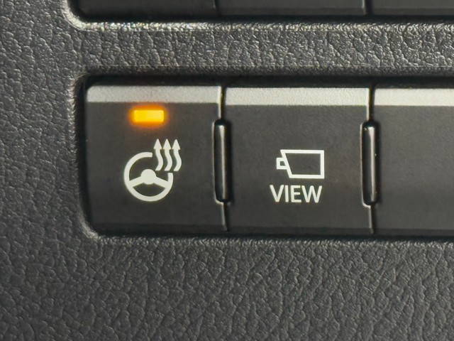 レクサス NX300 Fスポーツ