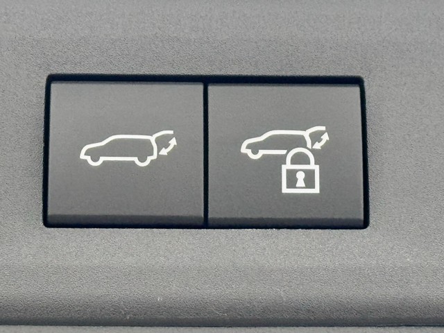 レクサス NX350h F SPORT