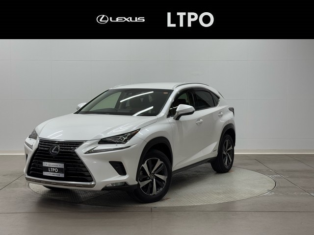 NX300h Iパッケージ