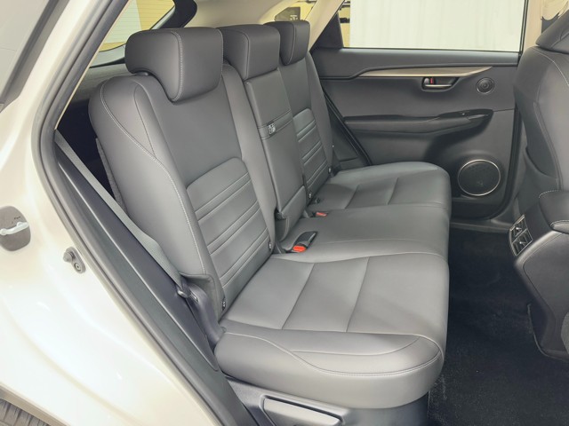 レクサス NX300h I-PKG