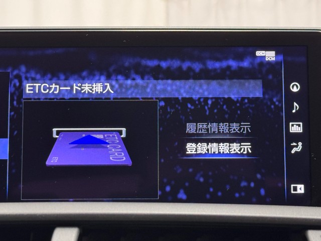 レクサス NX300 スパイス&シック