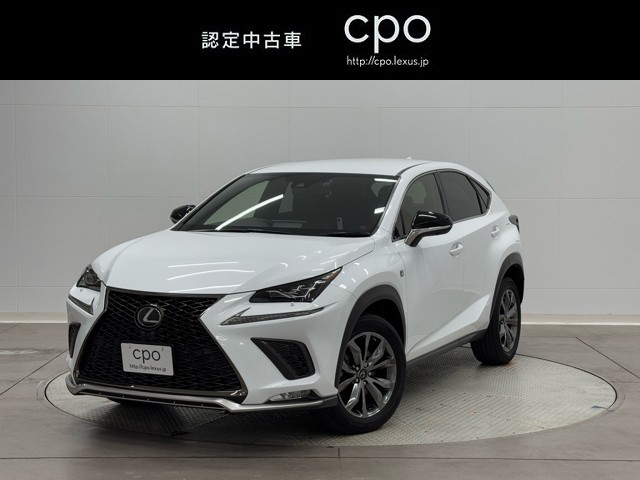 NX300 F SPORT