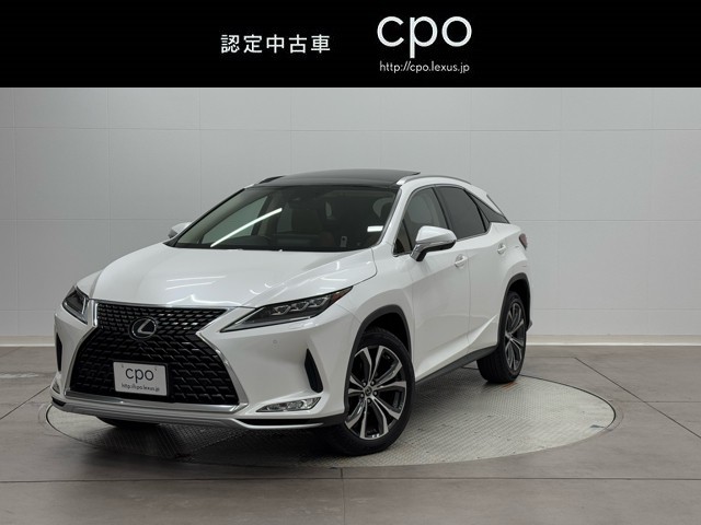 RX300 VER-L