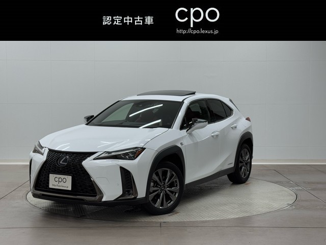 UX250h F SPORT