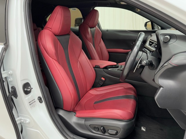 レクサス UX250h F SPORT