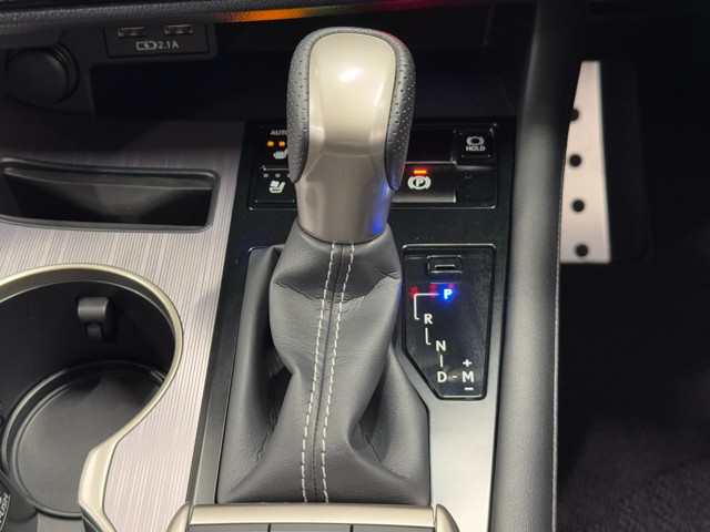 レクサス RX300 Fスポーツ
